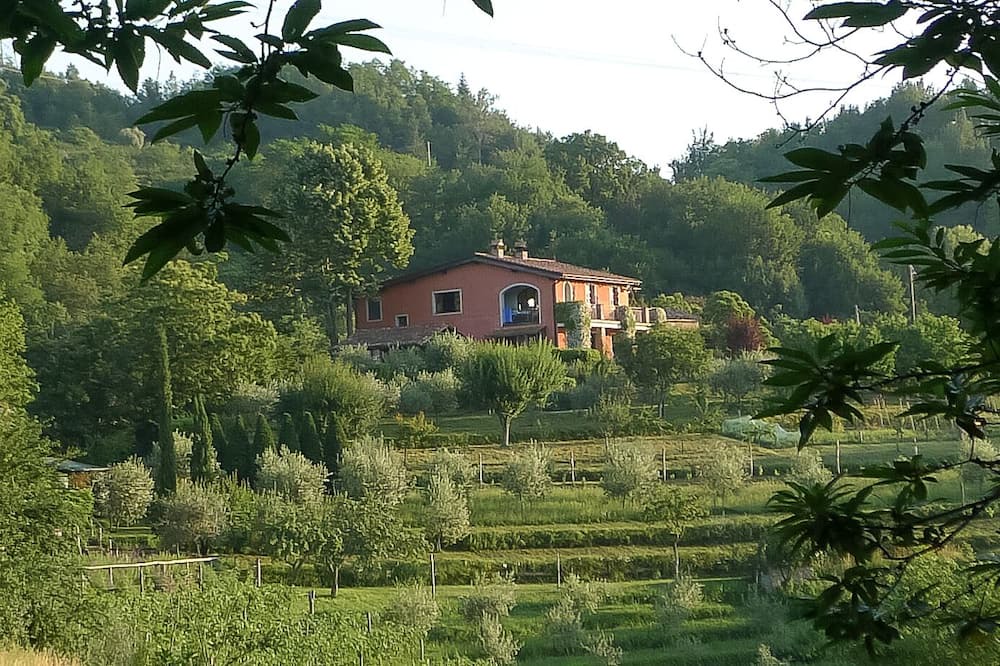 Photo of Outdoor in Molazzana
