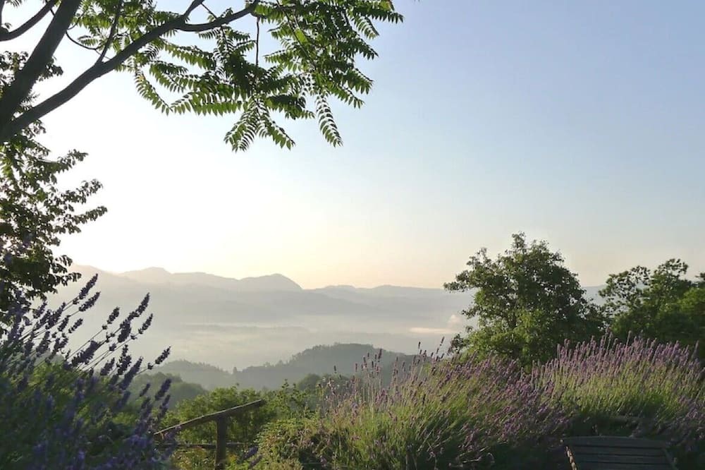 Photo of Outdoor in Molazzana