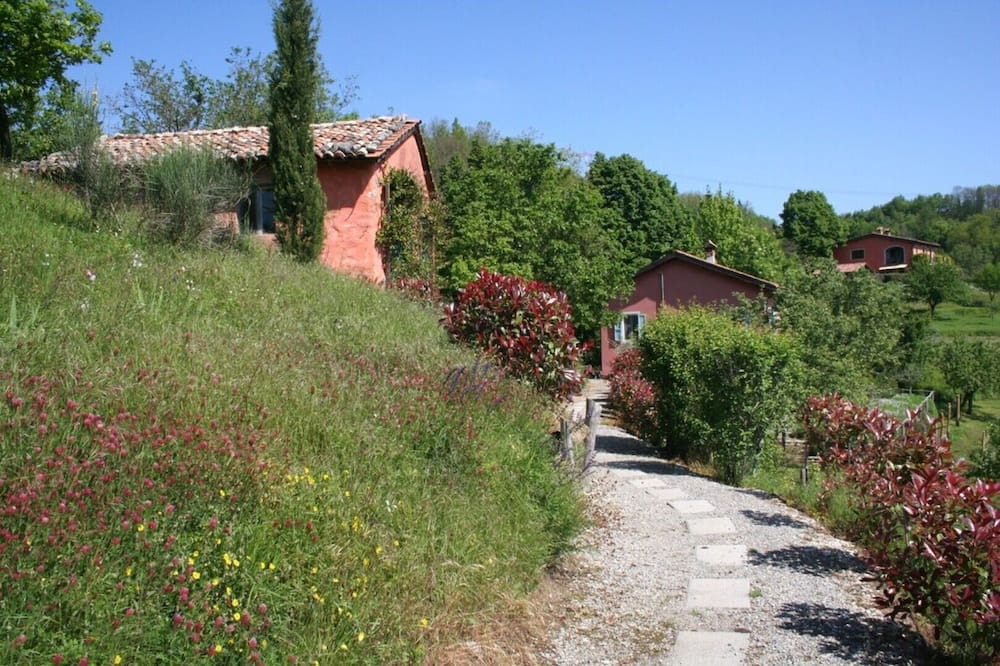 Photo of Outdoor in Molazzana
