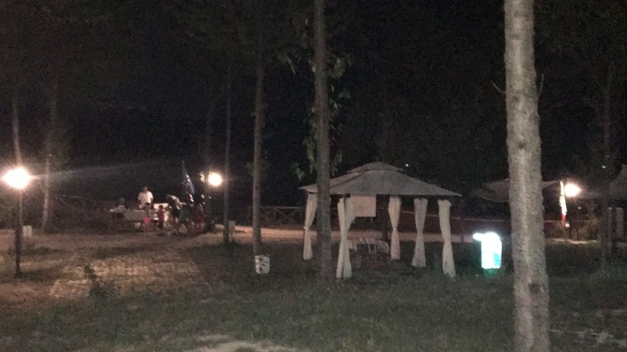 Photo of Outdoor in Force