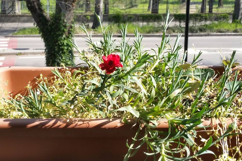 Photo of Patio Balcony in Castelfranco Emilia
