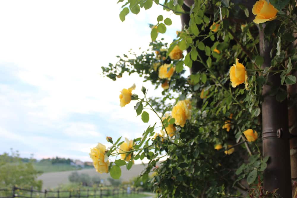 Photo of Outdoor in Avigliano Umbrio