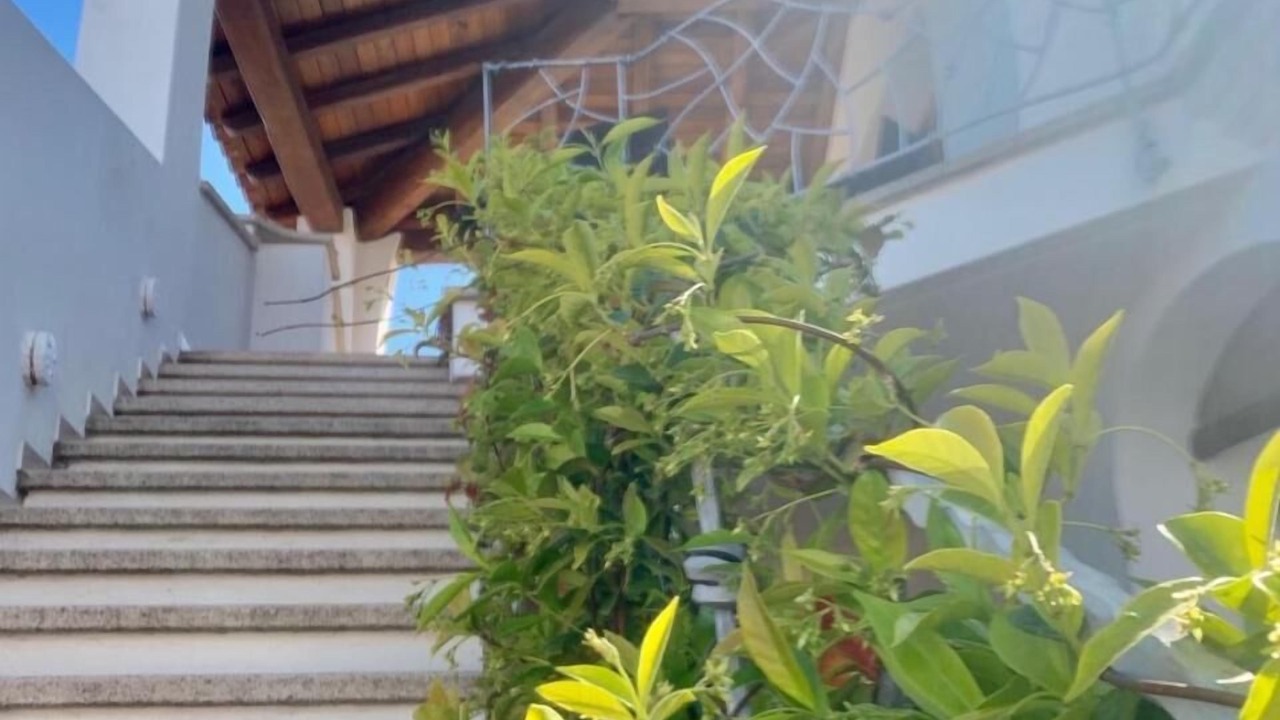 Photo of Outdoor in Budoni