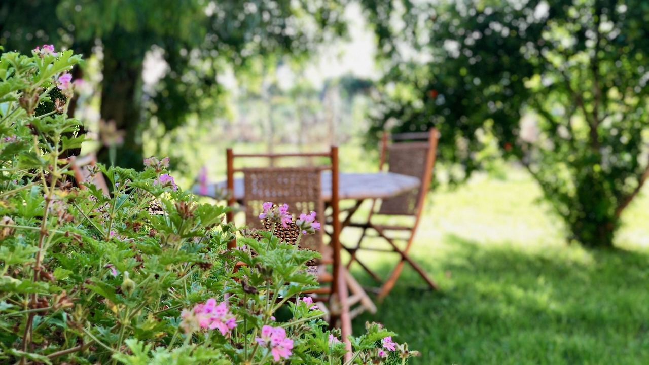Photo of Outdoor in Oristano