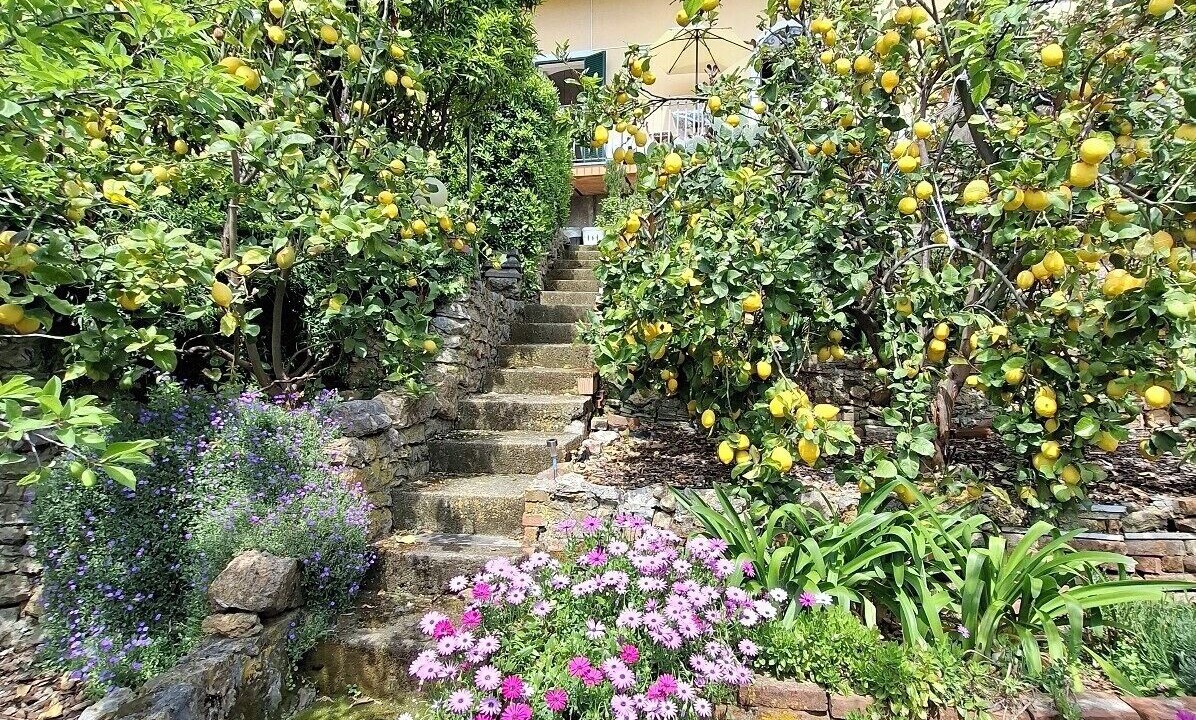 Photo of Outdoor in Pitelli
