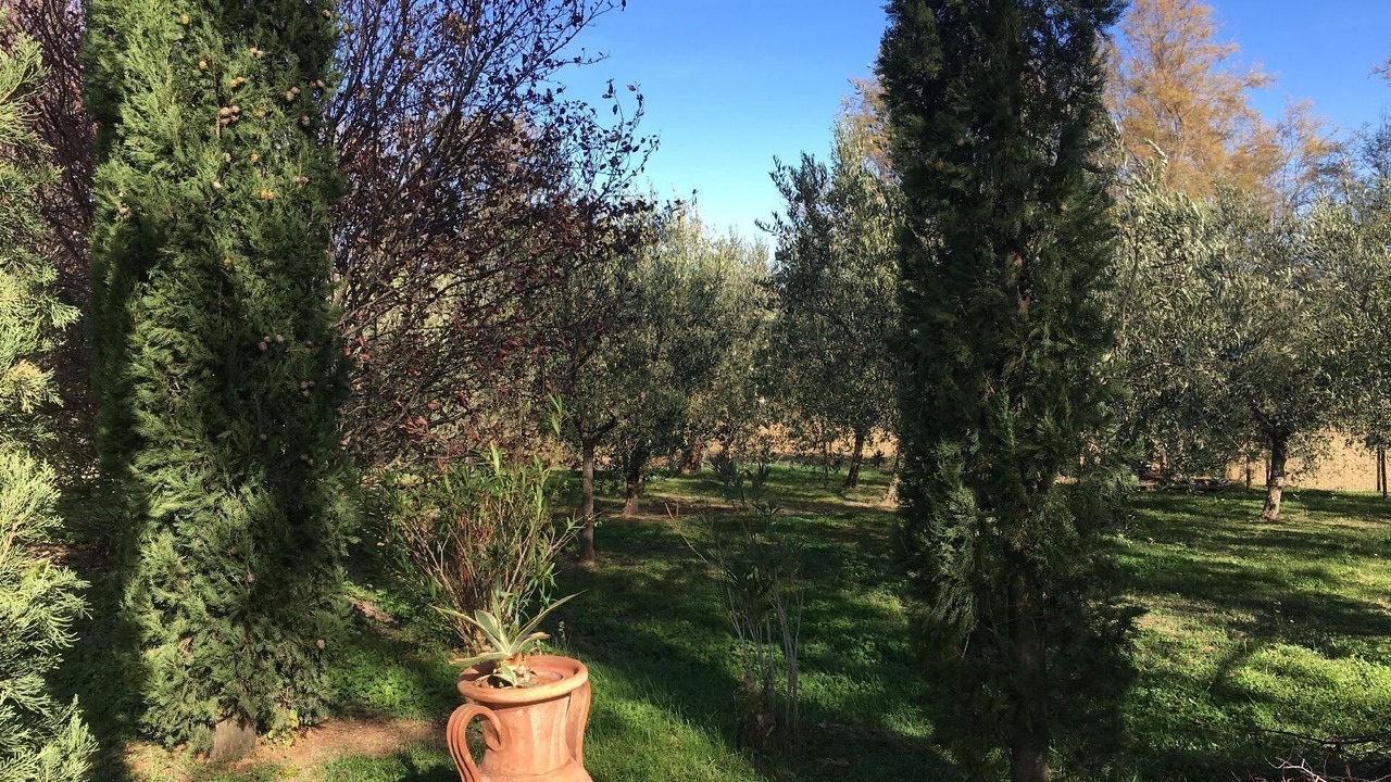 Photo of Outdoor in Mombaroccio