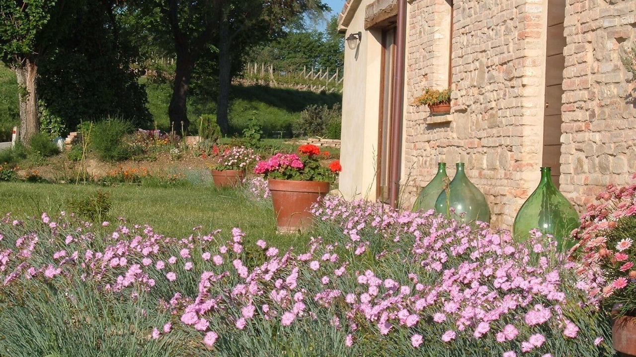 Photo of Outdoor in Mombaroccio