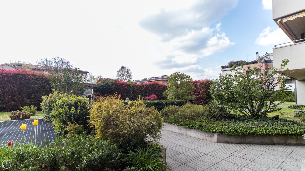 Photo of Outdoor in Monza