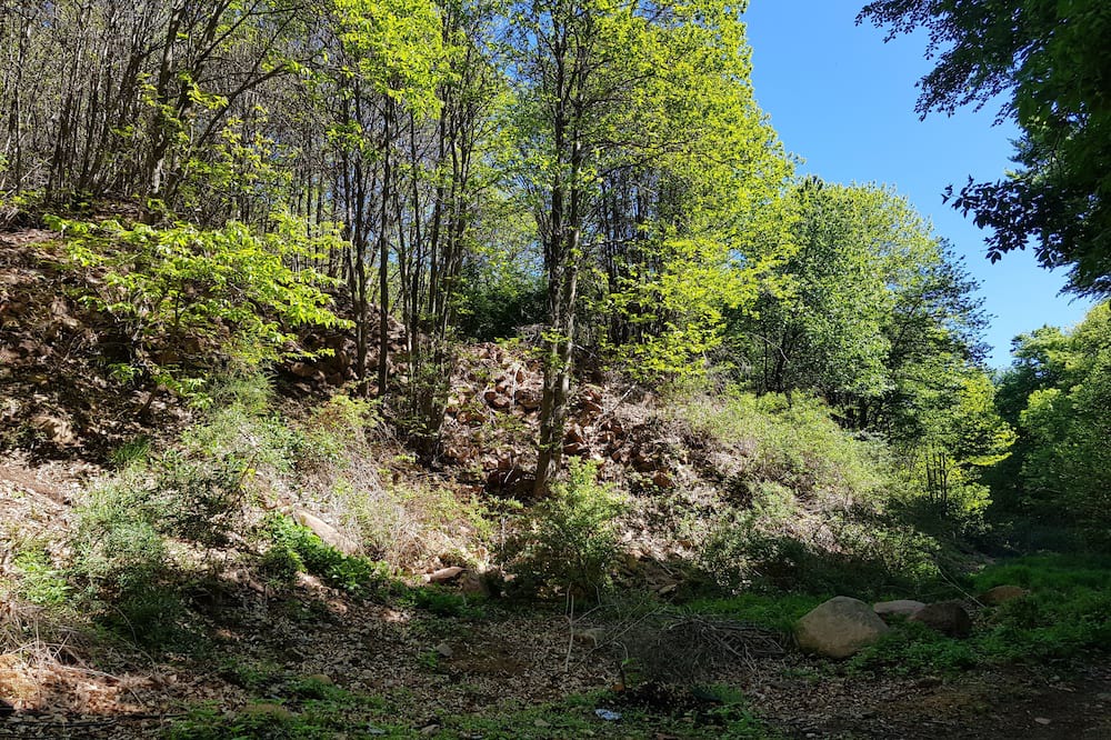 Photo of Outdoor in Cavagnano