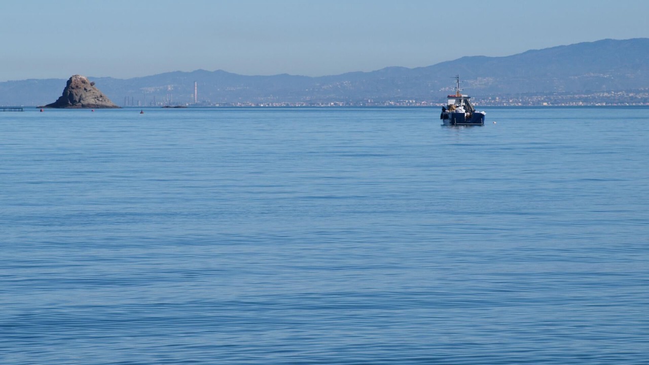 Photo of Others in Gioiosa Marea