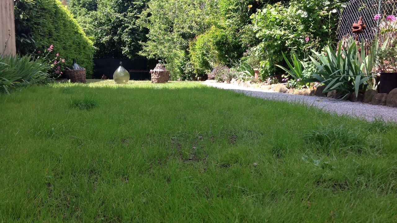 Photo of Outdoor in Tavernelle