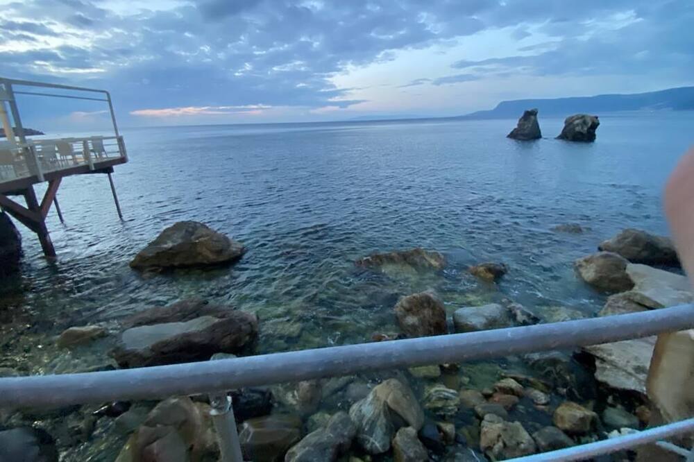 Photo of Others in Scilla
