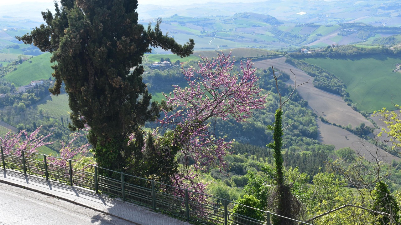 Photo of Outdoor in Ripatransone