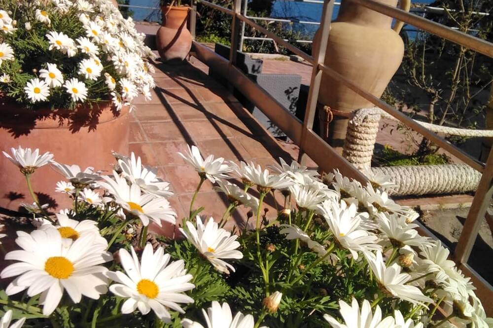 Photo of Outdoor in Torre Melissa