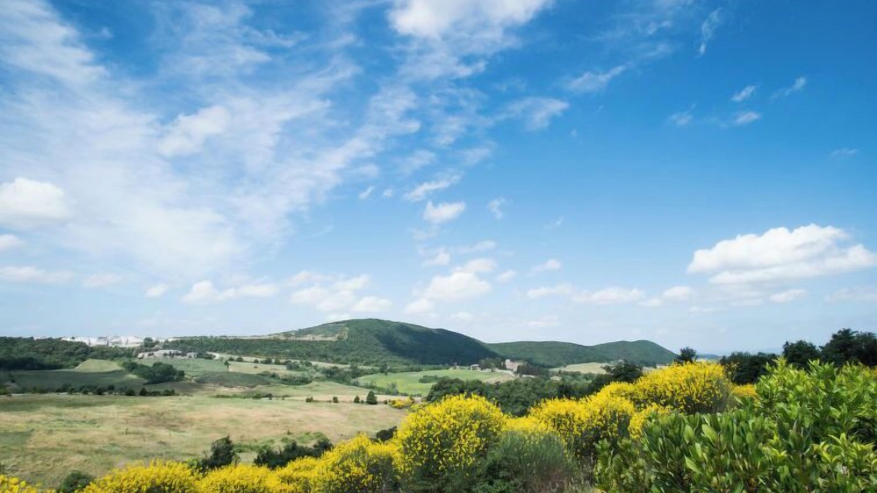 Photo of Outdoor in Trequanda