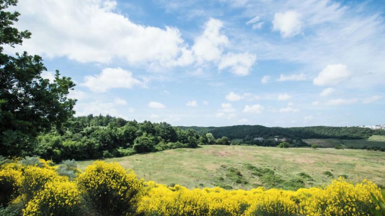 Photo of Outdoor in Trequanda