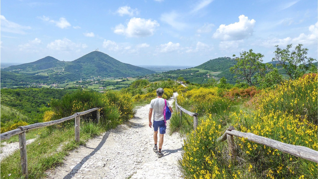 Photo of Outdoor in Monselice