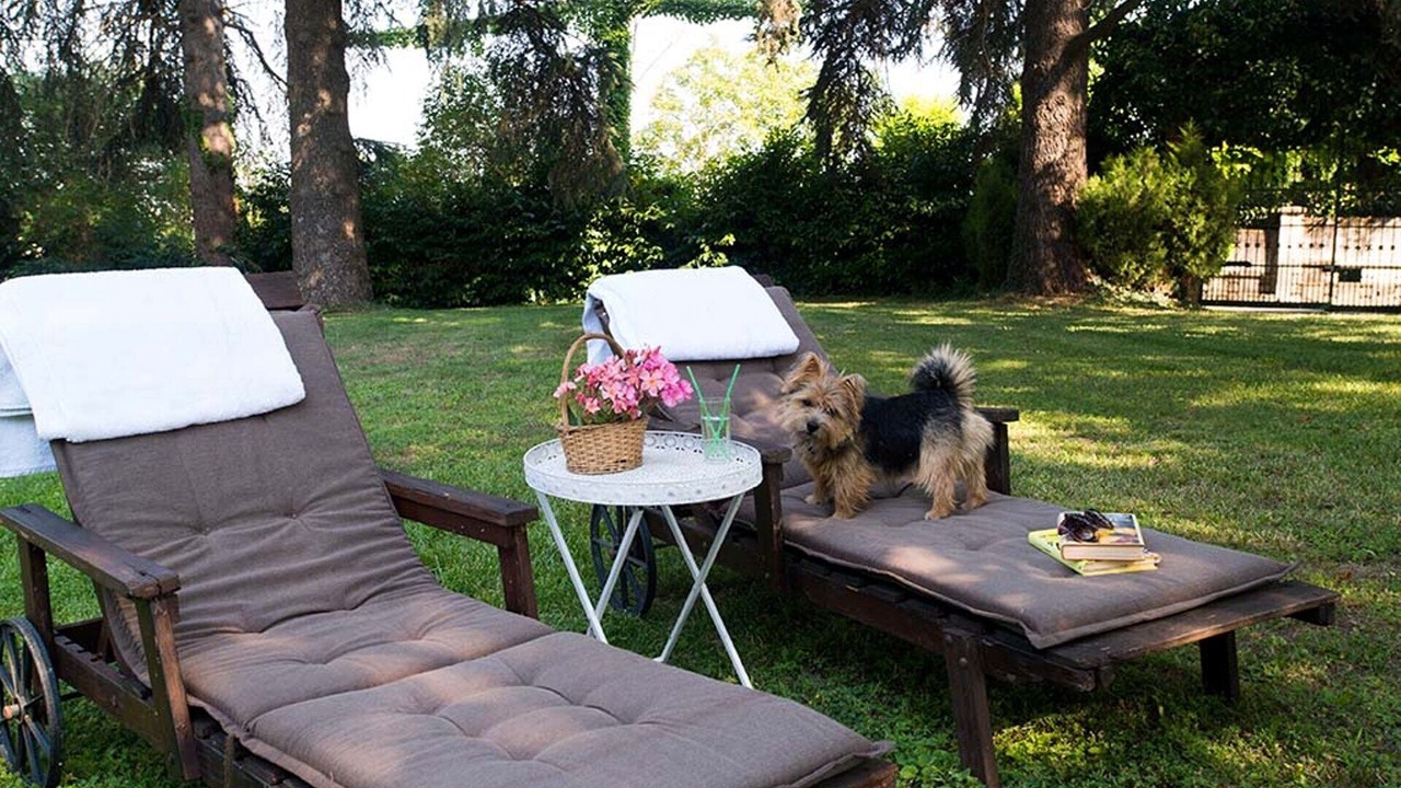 Photo of Outdoor in Alessandria