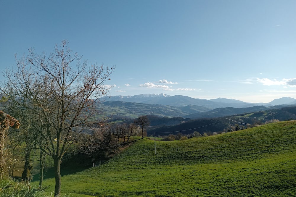 Photo of Outdoor in Carpineti