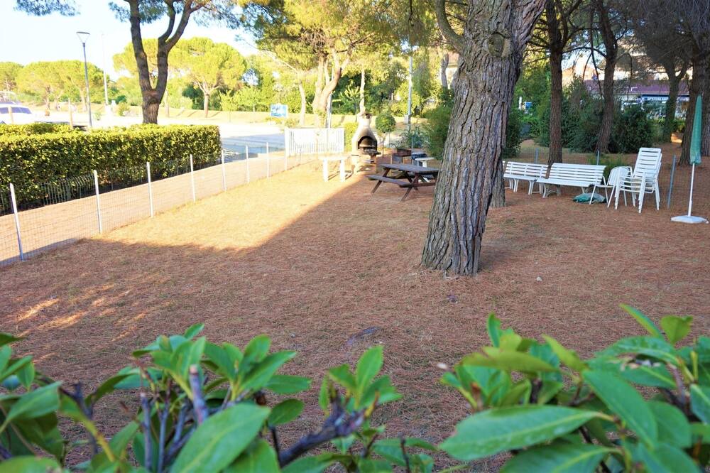 Photo of Outdoor in Aprilia Marittima