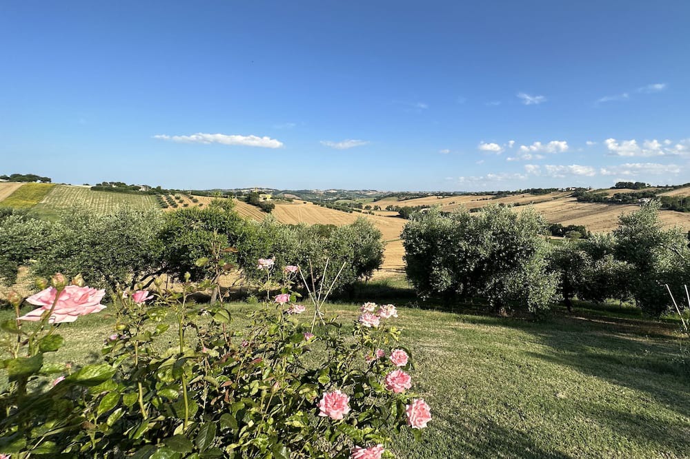 Photo of Outdoor in Bettolelle