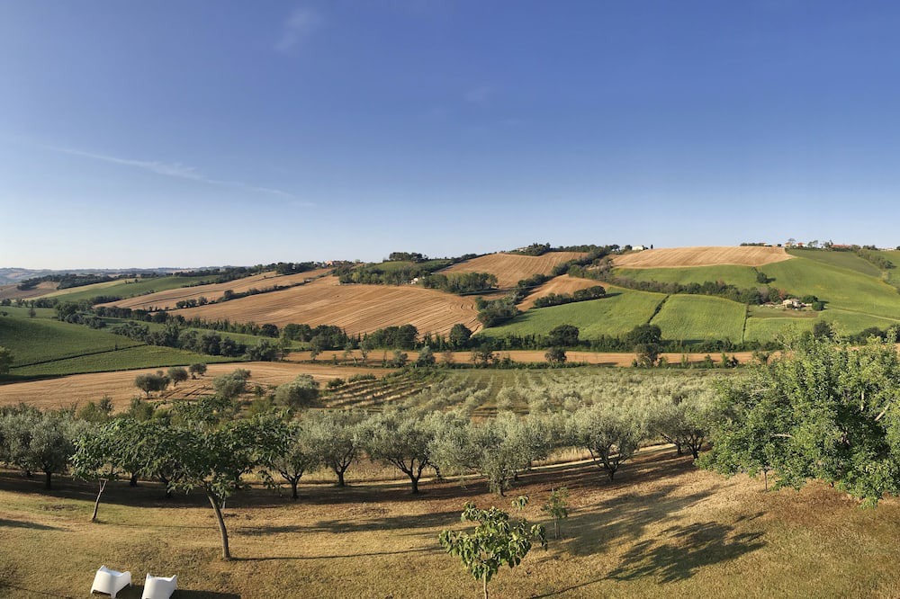 Photo of Outdoor in Bettolelle