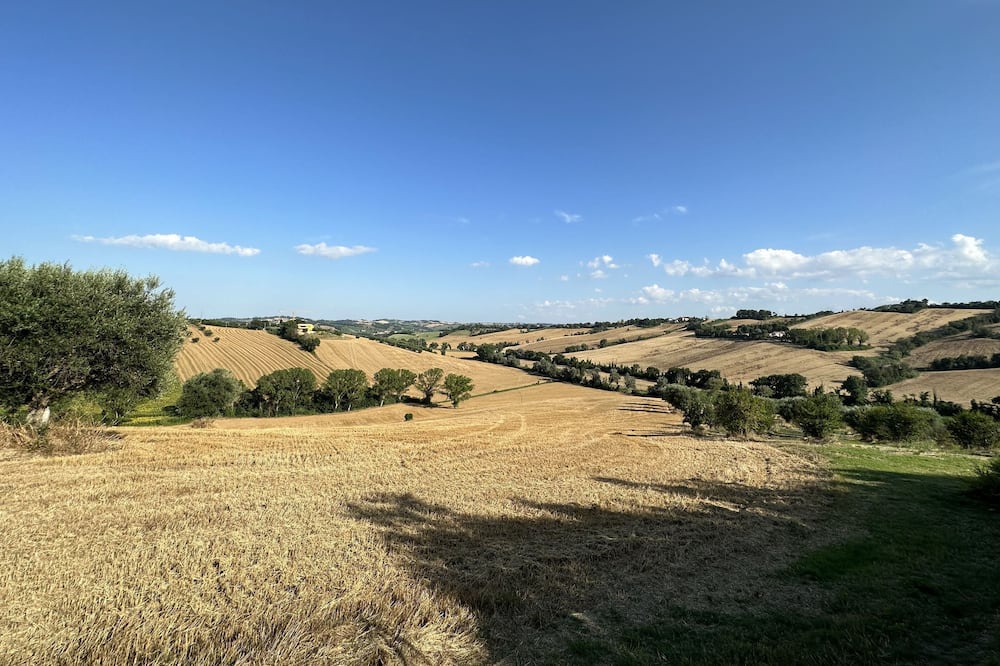 Photo of Others in Bettolelle