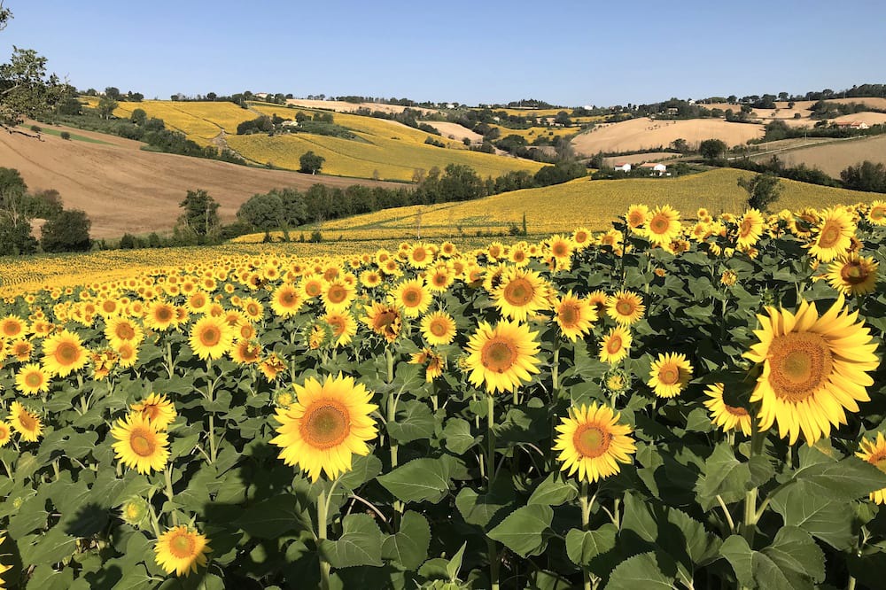 Photo of Outdoor in Bettolelle
