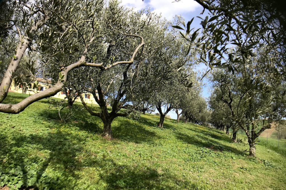 Photo of Outdoor in Bettolelle