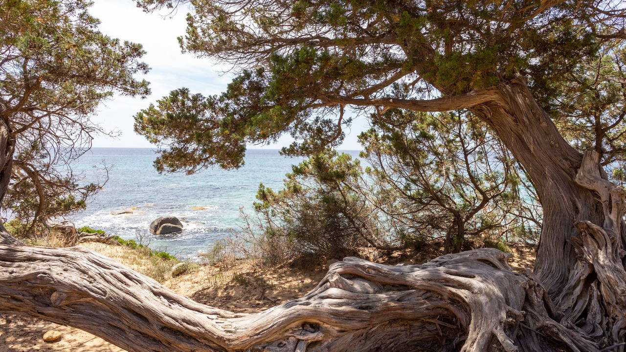 Photo of Outdoor in Porto Sa Ruxi