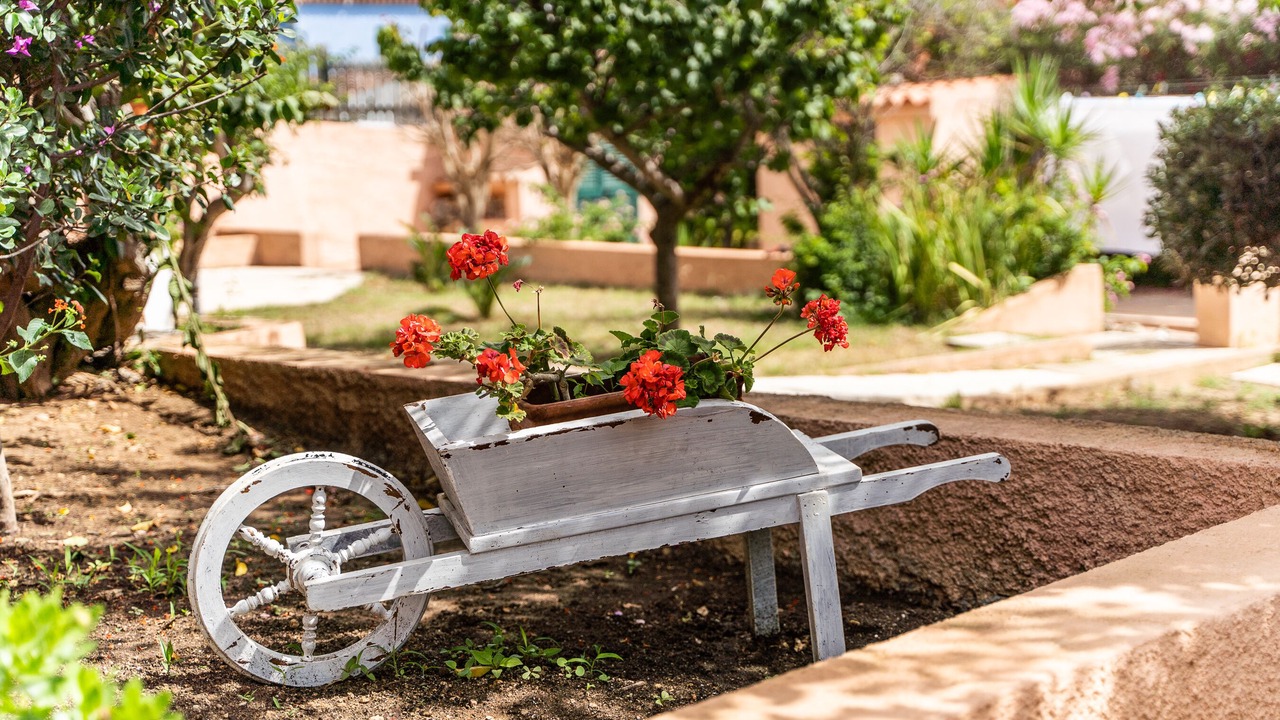 Photo of Outdoor in Capo Testa