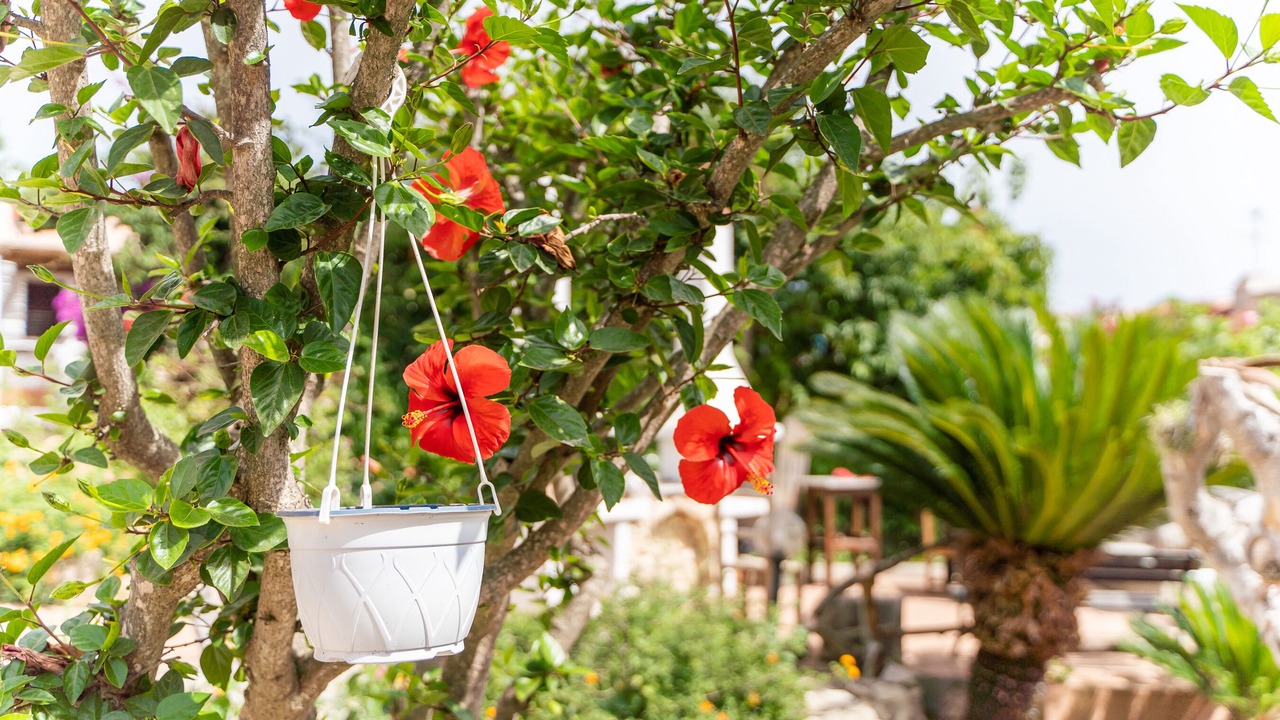 Photo of Outdoor in Capo Testa