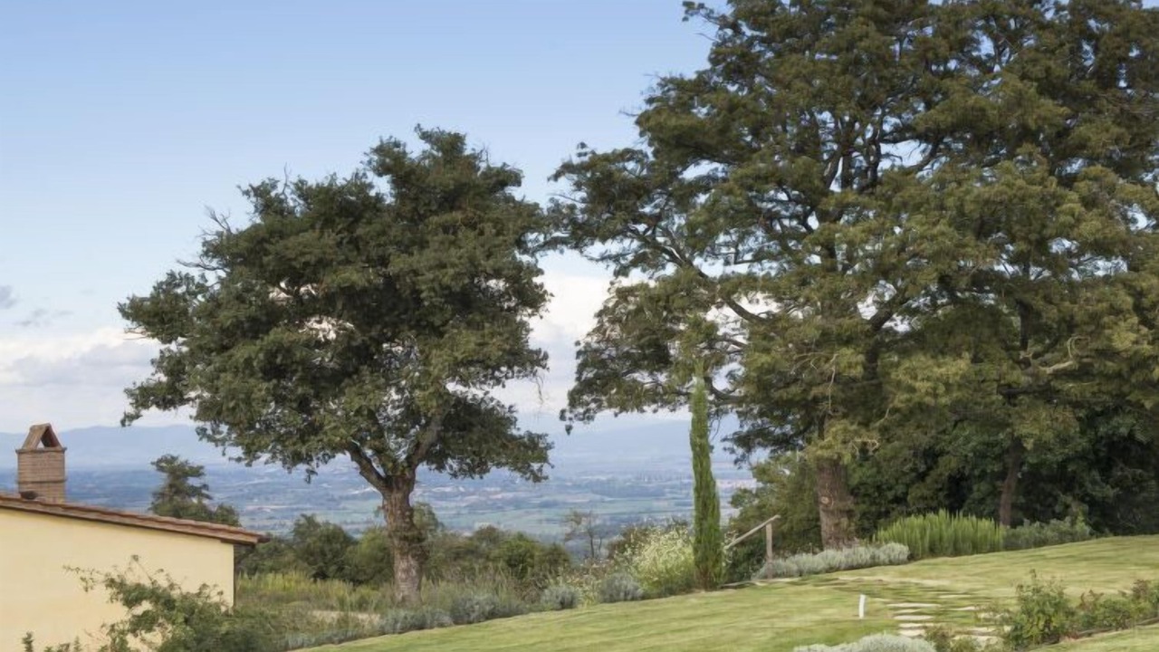 Photo of Outdoor in Trequanda