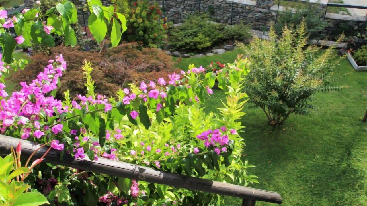 Photo of Outdoor in Vignola