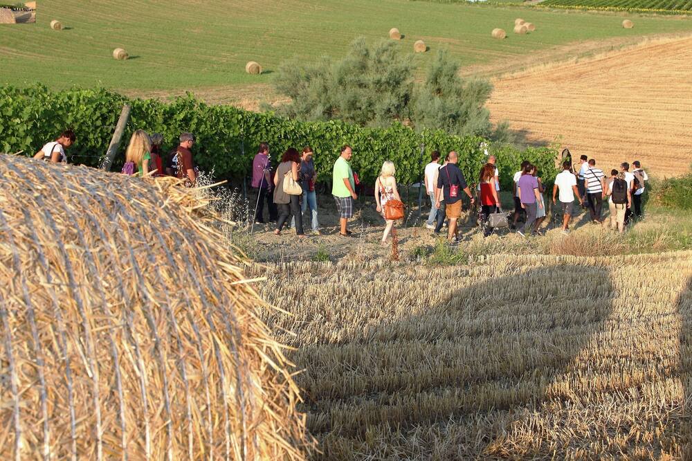 Photo of Others in Passano