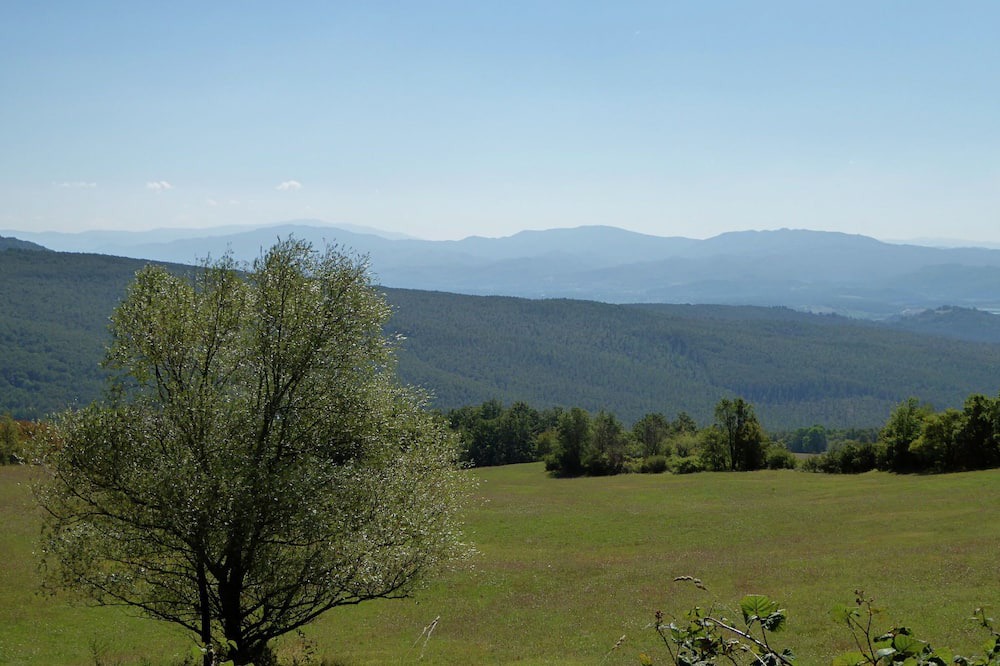 Photo of Others in Montecarelli