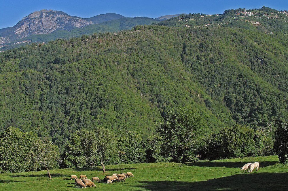Photo of Others in Pieve Fosciana