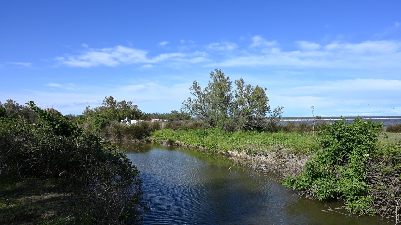Photo of Outdoor in Comacchio