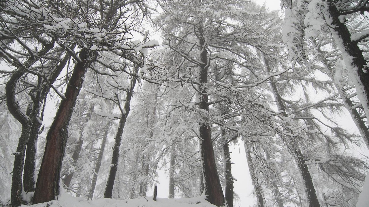 Photo of Outdoor in Rocca Pietore
