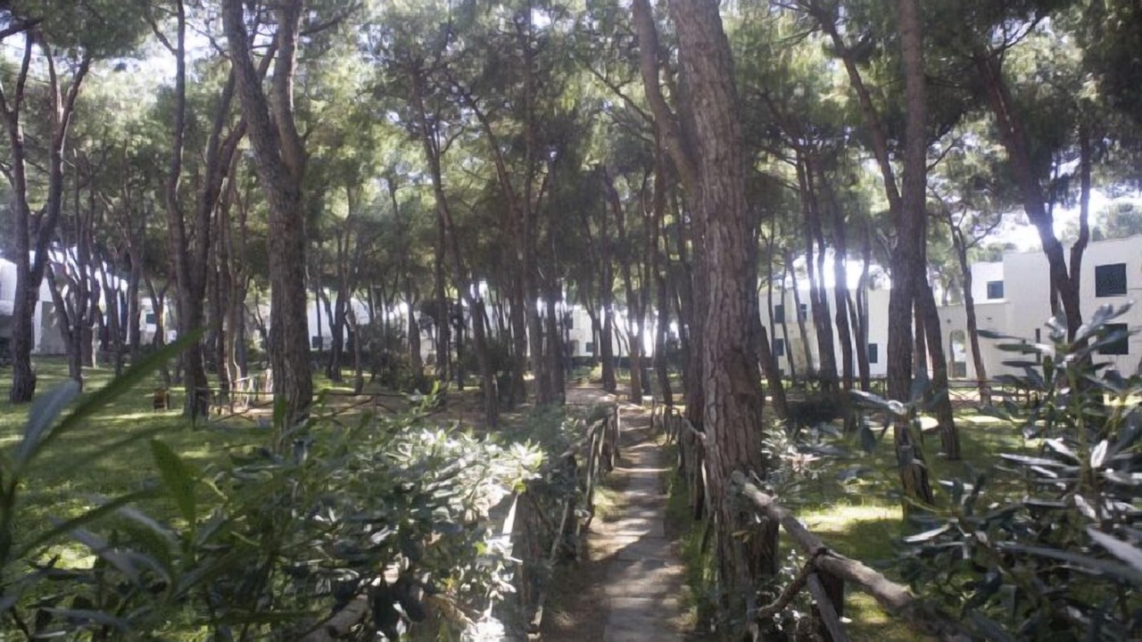 Photo of Outdoor in Baia Domizia