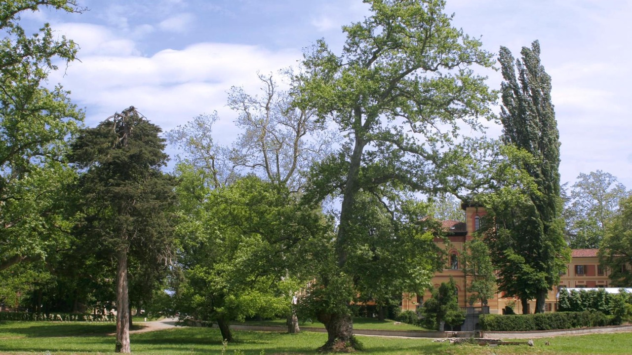 Photo of Outdoor in Melazzo