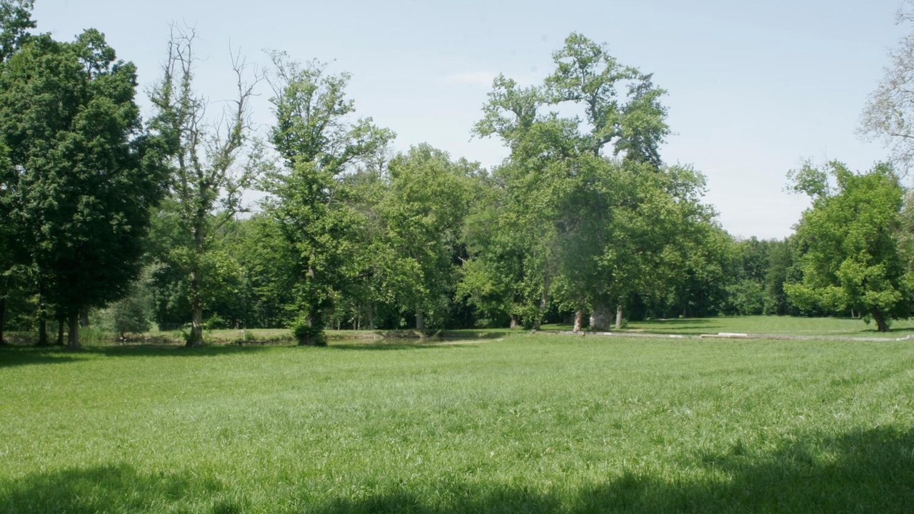 Photo of Outdoor in Melazzo