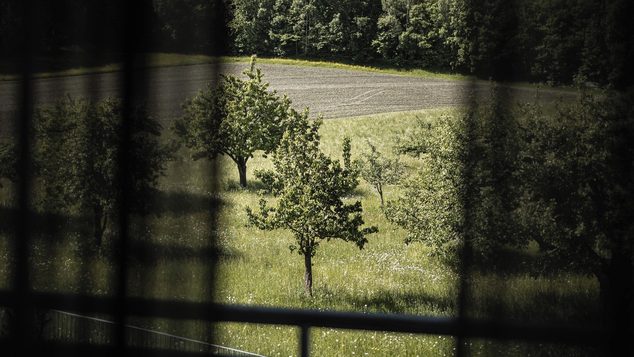 Photo of Bedroom in Riscone