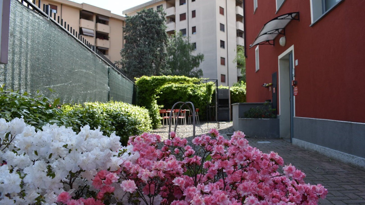 Photo of Buildings in Saronno