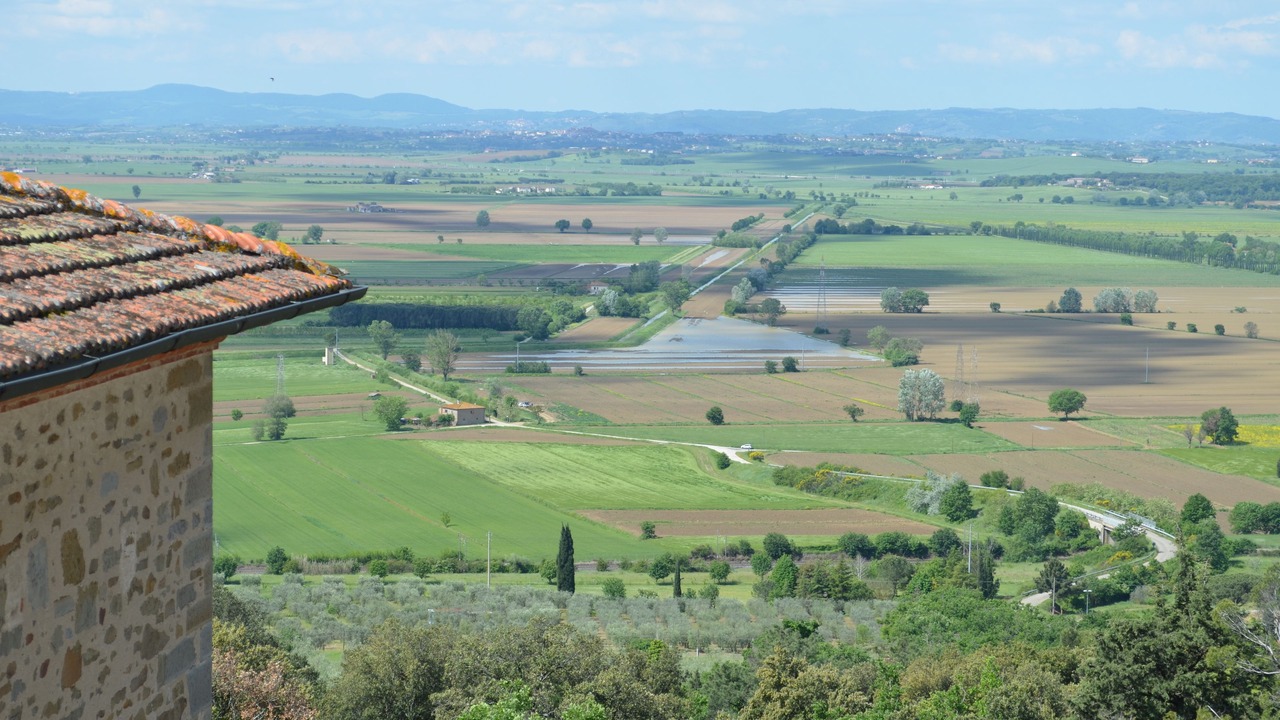 Photo of Others in Montecchio