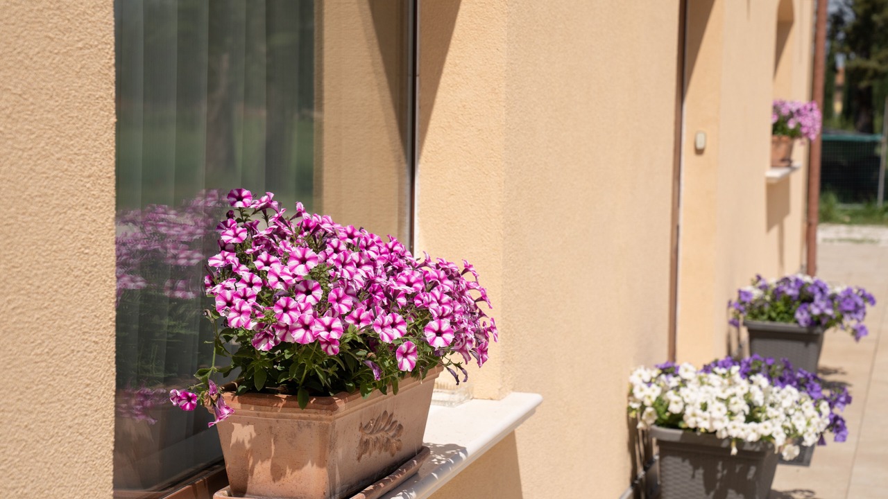 Photo of Outdoor in Casenuove
