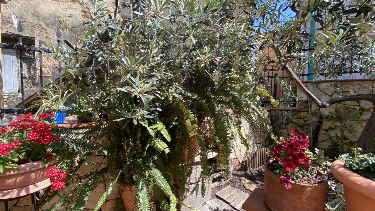 Photo of Outdoor in Urzulei