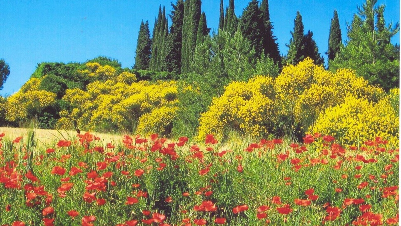 Photo of Outdoor in Precetto