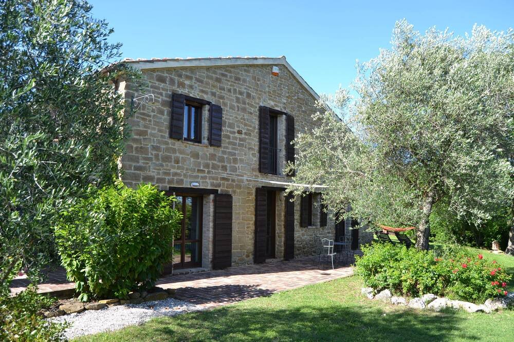 Photo of Outdoor in Pergola