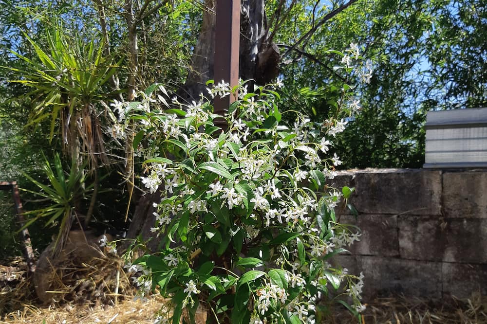 Photo of Outdoor in Roccadaspide
